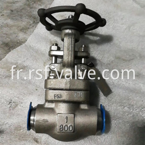 Api602 F53 Gate Valve